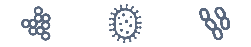 Research Interests – Pakpour Laboratory