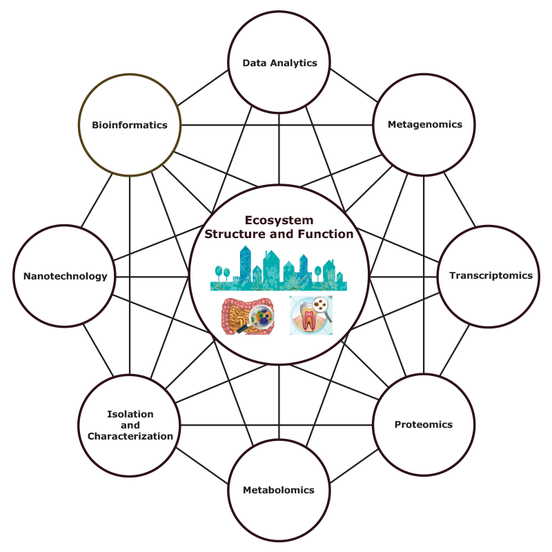 Research Interests – Pakpour Laboratory